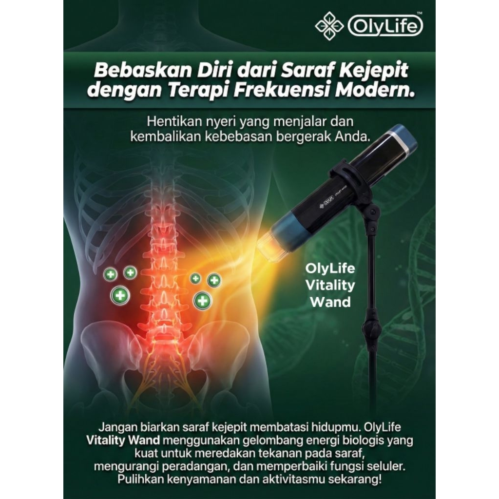 Jual OLYLIFE VITALITY WAND Garansi Resmi 1 Tahun Olylife | Shopee