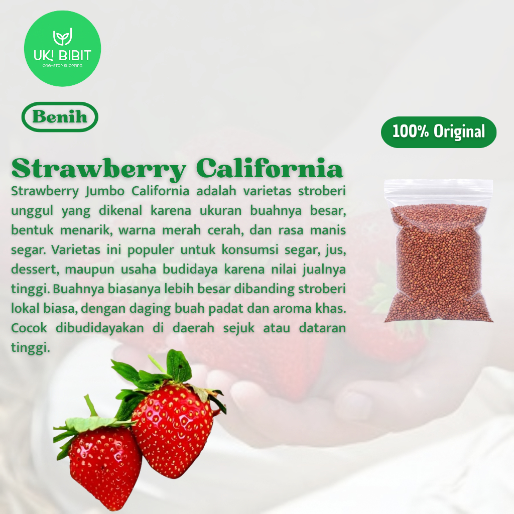 ( 10 Butir) Benih Biji Strawberry Jumbo California | Fragaria Ananassa