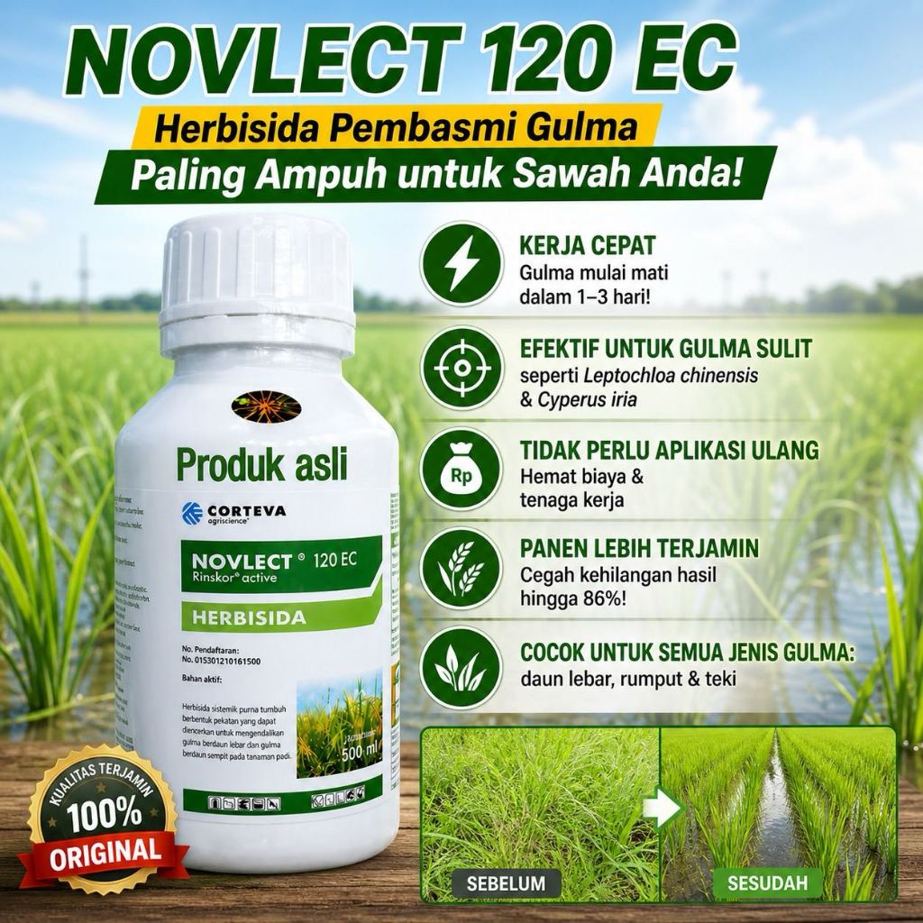 Jual Herbisida NOVLECT 120 EC Pembasmi Gulma Padi Ampuh 1-3 Hari | Obat ...