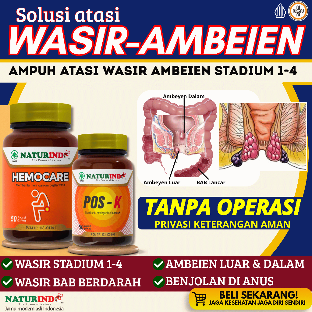 Obat Wasir Ambeien Ampuh Tanpa Operasi Benjolan Di Anus Keluar & Bab Berdarah Wasir Stadium 1-4 Hemocare Naturindo