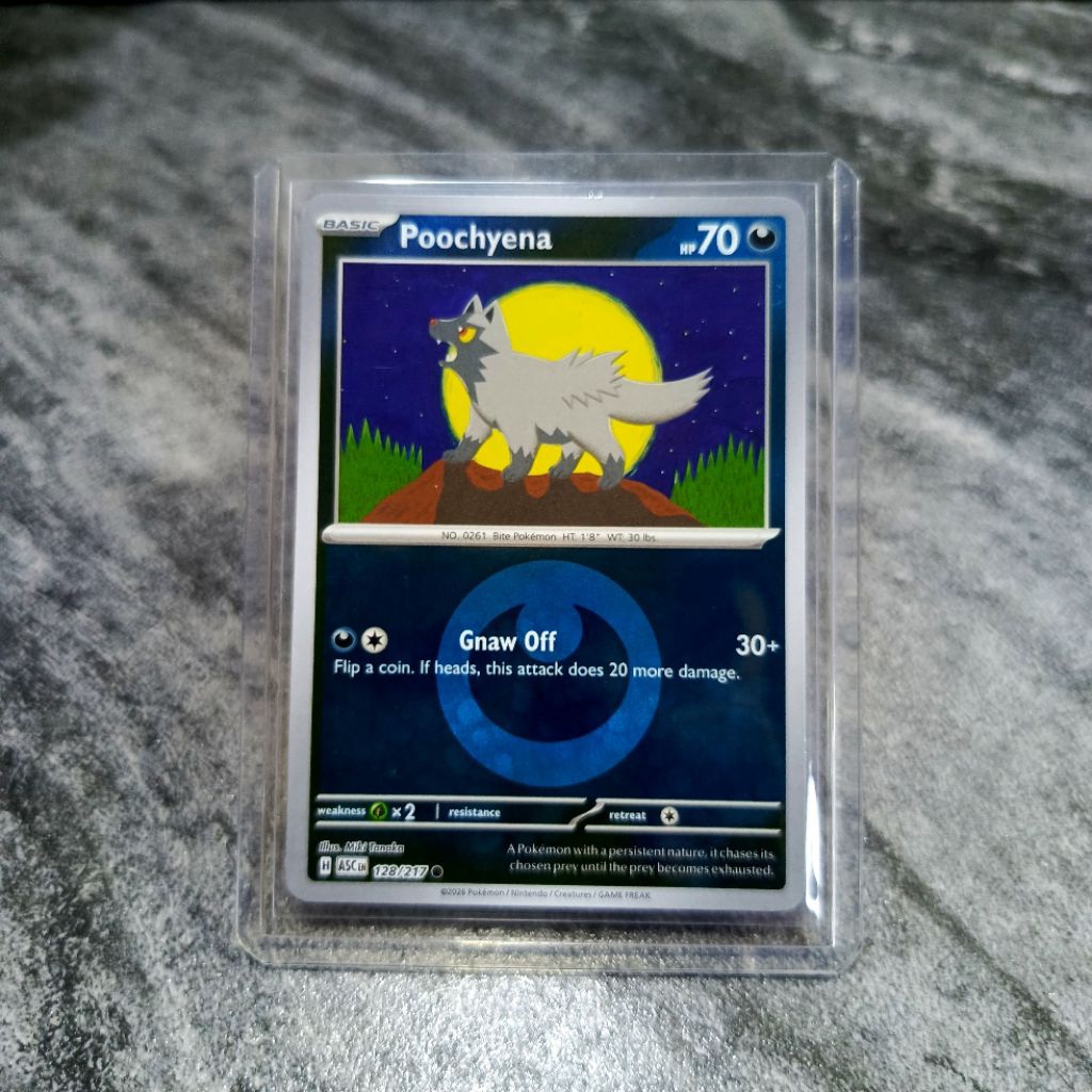 pokemon black and white booster box *Japanese* Pokemon Black Bolt Booster Box main image 1