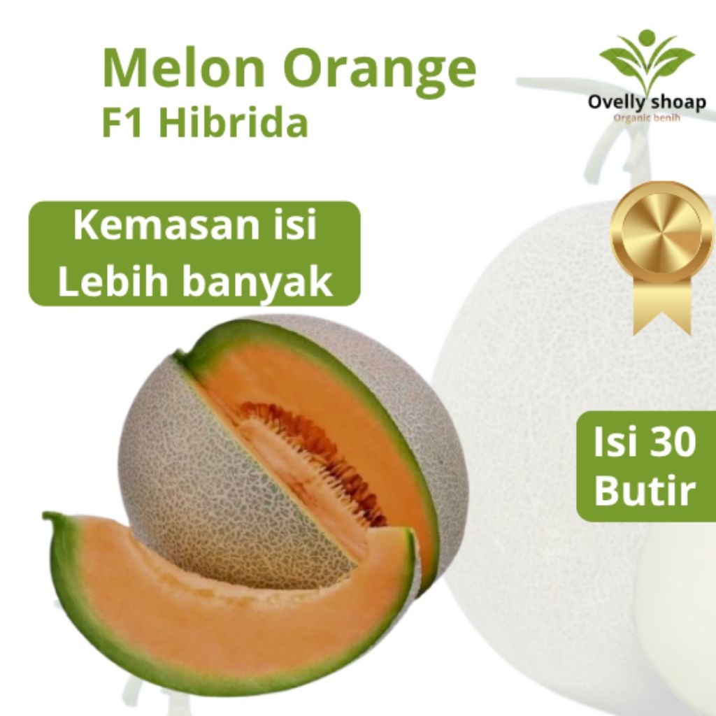 Bibit Benih Biji Melon Orange promo terbaru 30 butir Buah Manis dan Segar