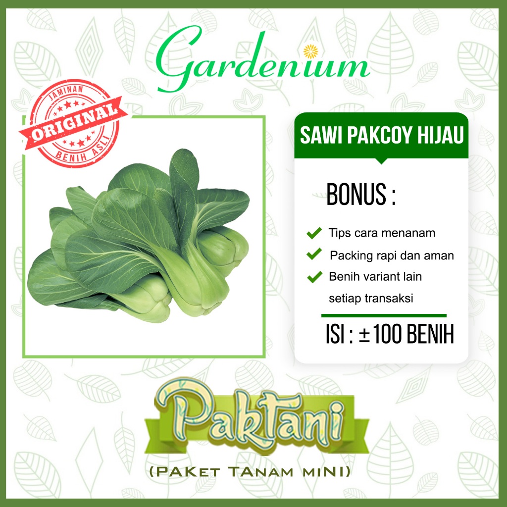 100 Benih Sawi Pakcoy Hijau Bok Choy Hijau Sayuran Unggul Paktani