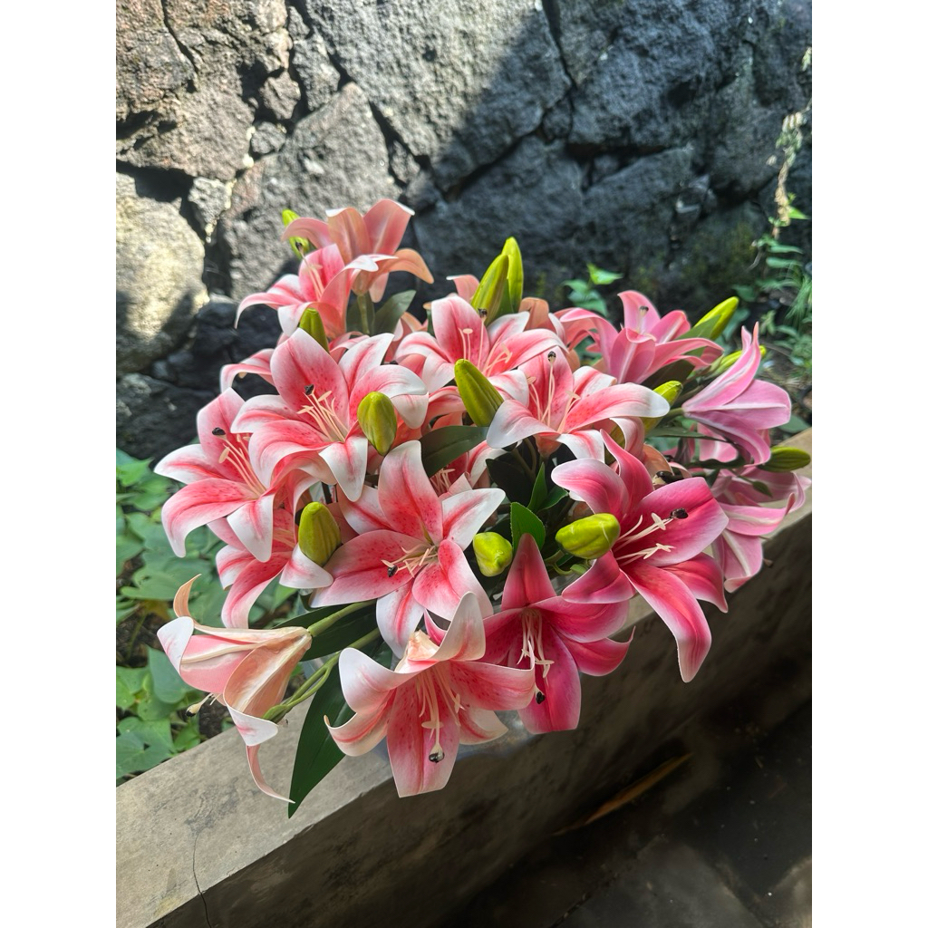 Jual Bunga Lili Terlengkap & Harga Terbaru Juni 2026 | Shopee Indonesia