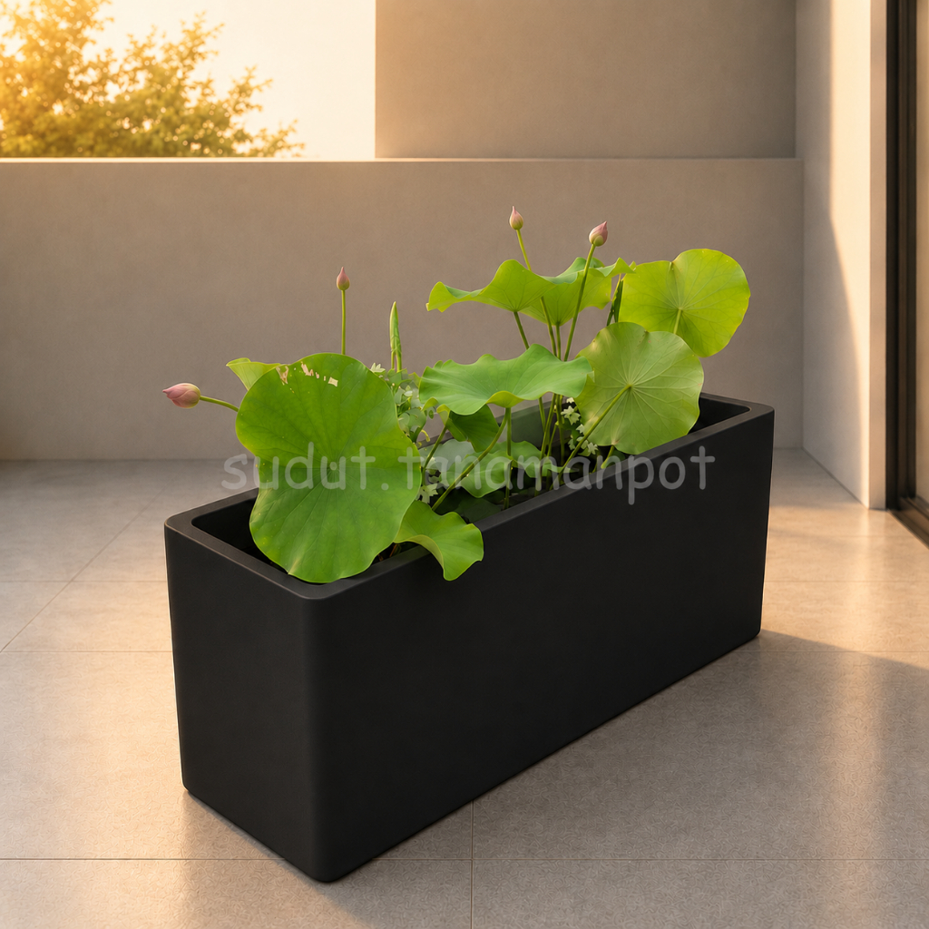 Jual Pot Tanaman Panjang Bahan Semen Planter Box Large PxLxT ...