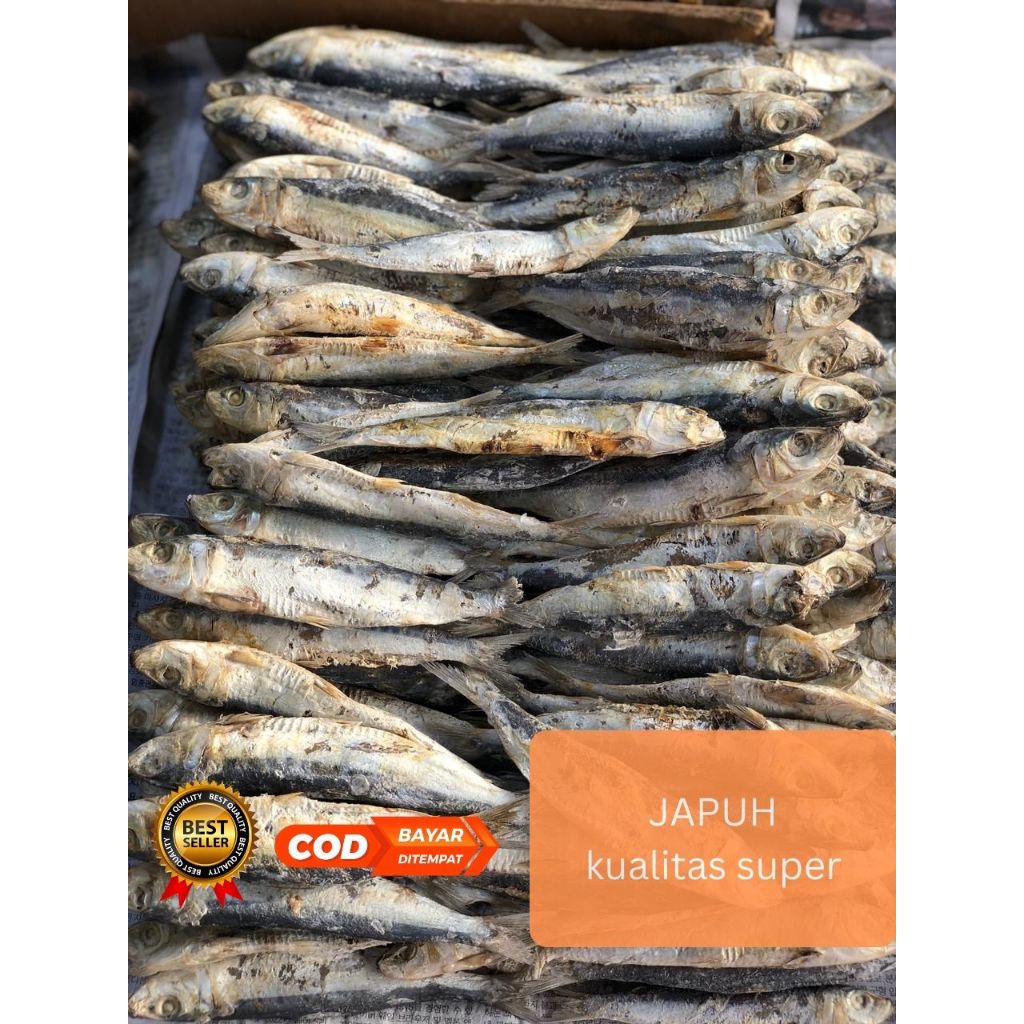 Jual Ikan asin japuh sero japuh belitung segar gurih | Shopee Indonesia