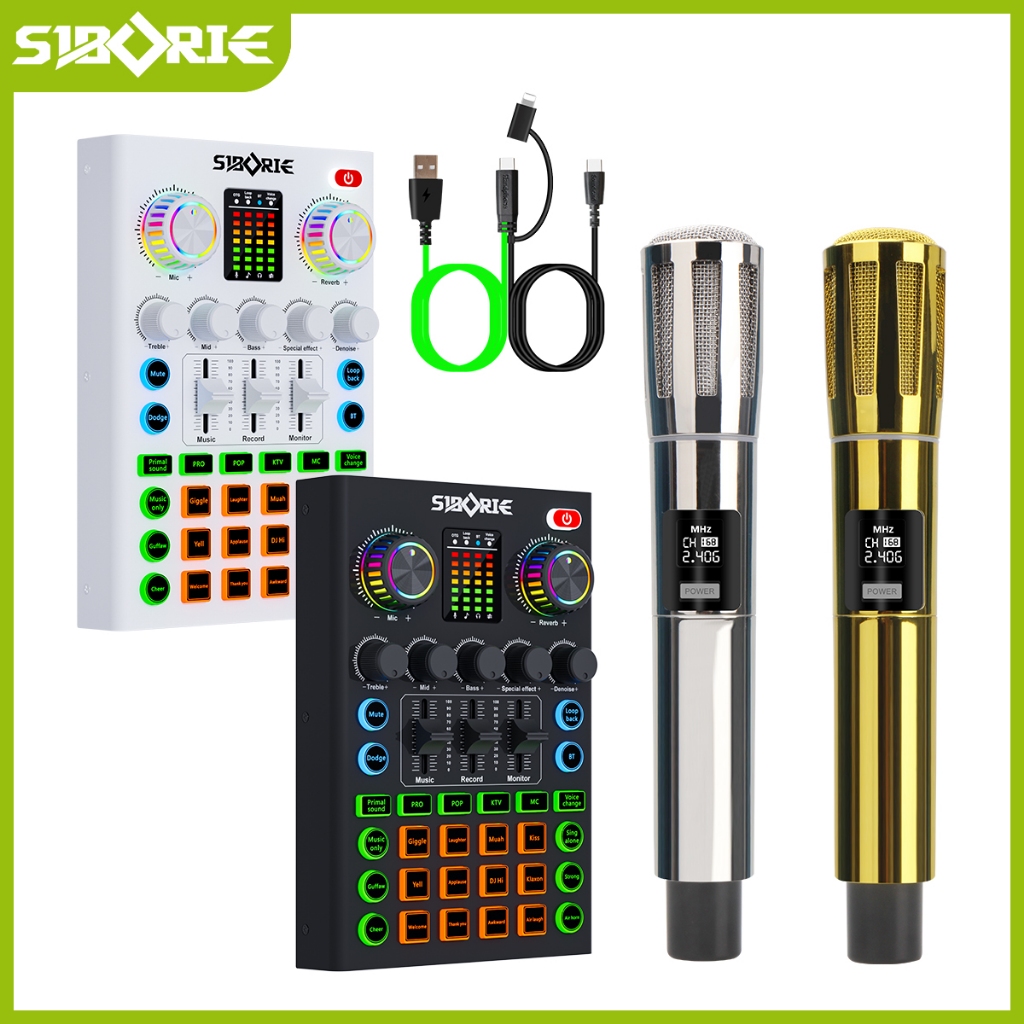 Jual Siborie COD A9 Sound Card + W300 Profesional Two Mic Wireless ...