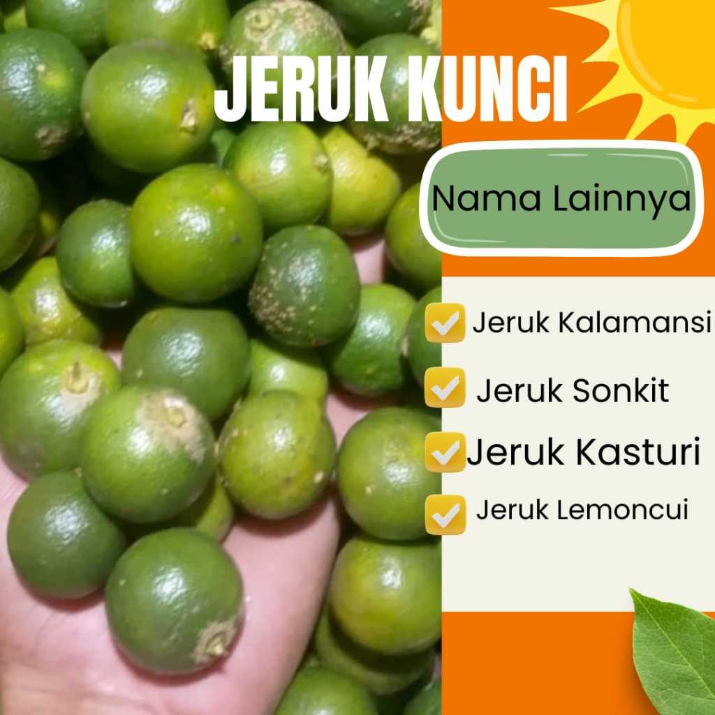 Produk meranty store | Shopee Indonesia