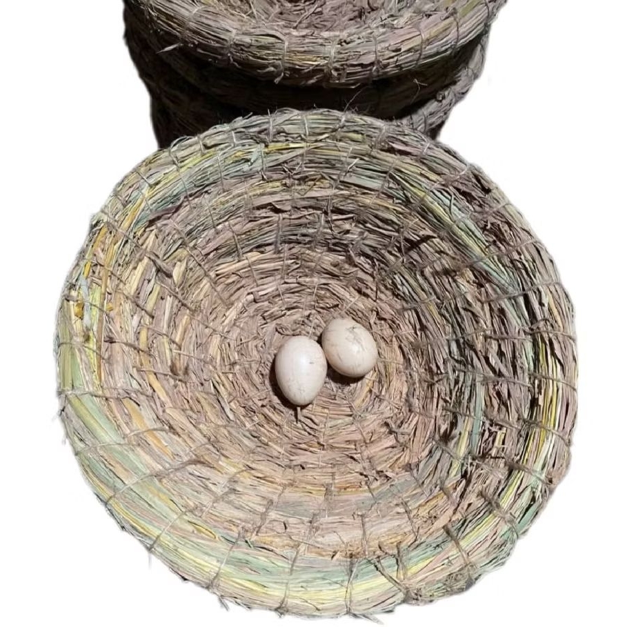 Jual SARANG TARANGAN SUSUH AYAM BERTELUR 30CM-33CM langsung pengrajin ...