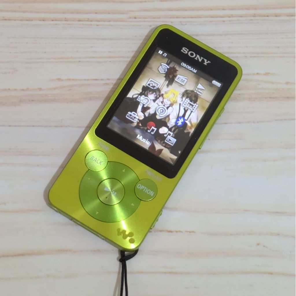 My NWZ-B142F. I'm using this for around 10 years and it got N9242 SONY