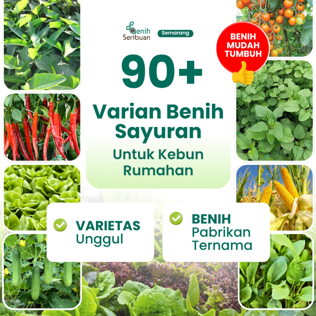 Benih Sayuran Lengkap - 90+ Varian Solusi Berkebun di Rumah | Benih Seribuan Semarang