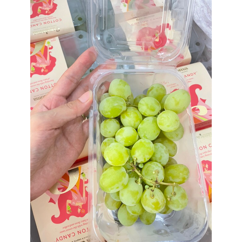 Jual anggur hijau cotton candy rasa manis wangi permen karet | Shopee ...