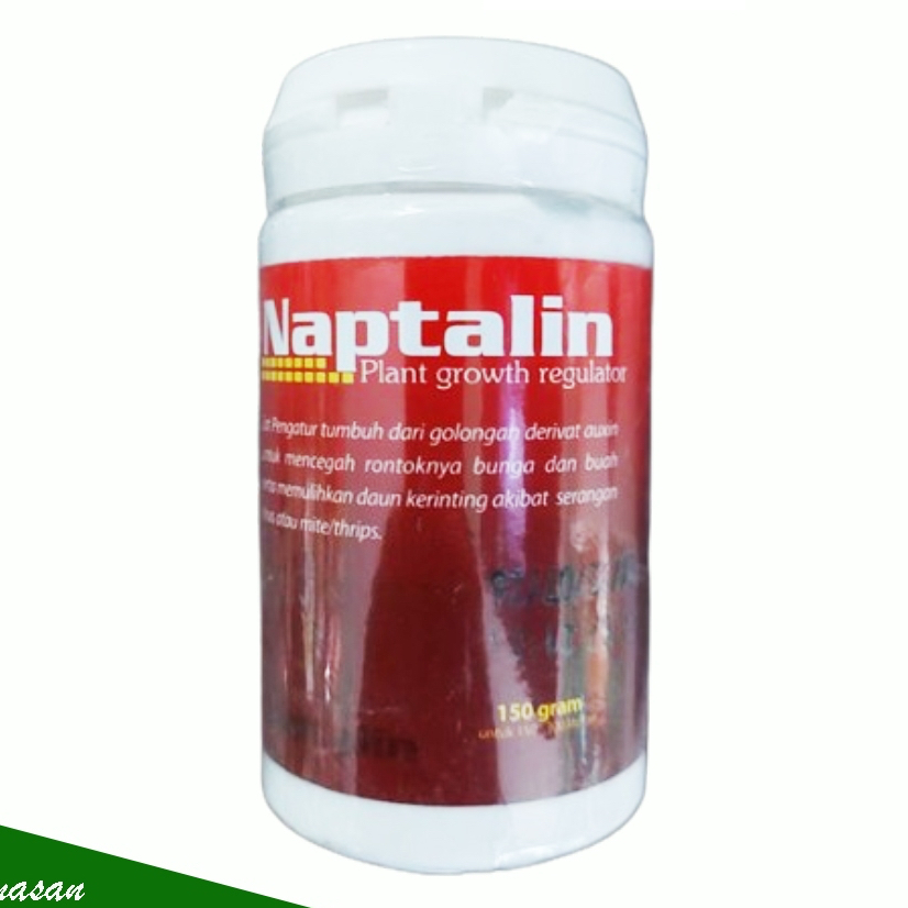 Jual Panen Kacang Terlengkap & Harga Terbaru Mei 2026 | Shopee Indonesia