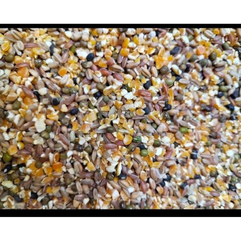 Jual Makanan Beras Jagung Gandum Terlengkap & Harga Terbaru Juni 2026 ...