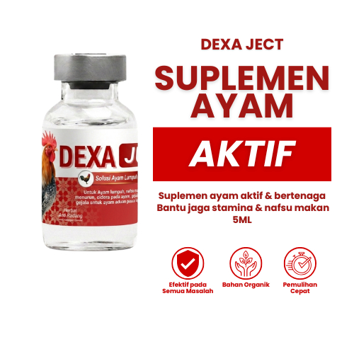 Jual dexa injeksi Harga Terbaik & Termurah Juli 2026 | Shopee Indonesia