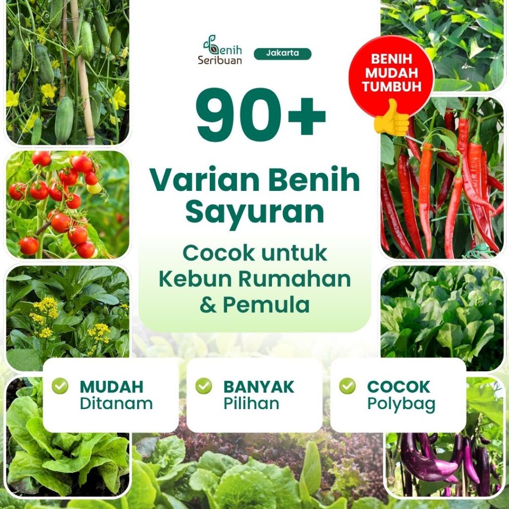 Benih Seribuan - Benih Sayur 90+ Varian Berkualitas Benih Cabe, Tomat, Kangkung, Bayam, Sawi, Selada, Terong, Kacang Panjang dll
