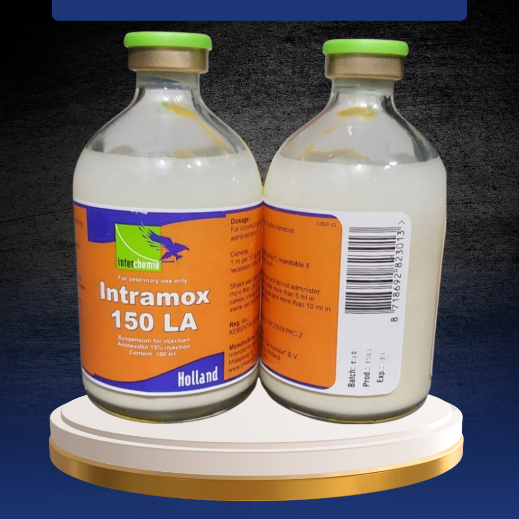 Jual INTRAMOX-150 LA 100 ML - Untuk Masalah Saluran Pernafasan Dan ...