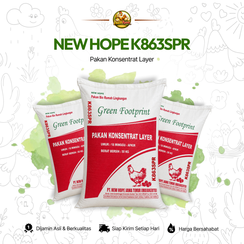 Jual afkir ayam petelur Harga Terbaik & Termurah Juli 2026 | Shopee ...