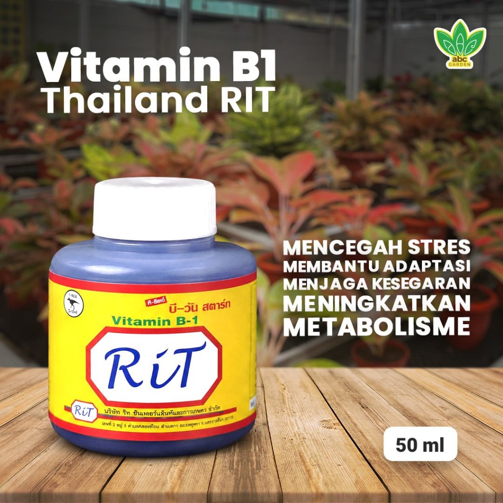 Jual [50ml] Vitamin B1 Thailand T-Rex RIT - Vitamin Untuk Mencegah ...