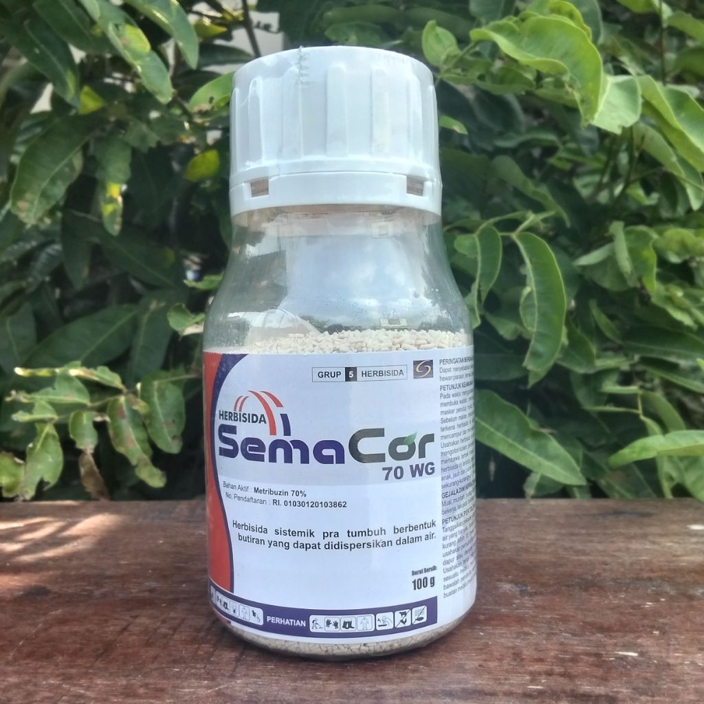 Jual SEMACOR 70 WG Metribuzin Kemasan 100Gr Ahli Bekukan Biji Gulma ...