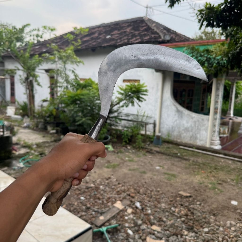 Jual Sabit Rumput Terlengkap & Harga Terbaru Juli 2026 | Shopee Indonesia