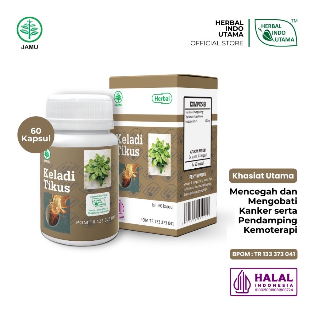 OBAT KANKER KAPSUL KELADI TIKUS - Herbal Indo Utama -  Obat kanker dan Pendamping Kemoterapi - BPOM Halal 60 kapsul