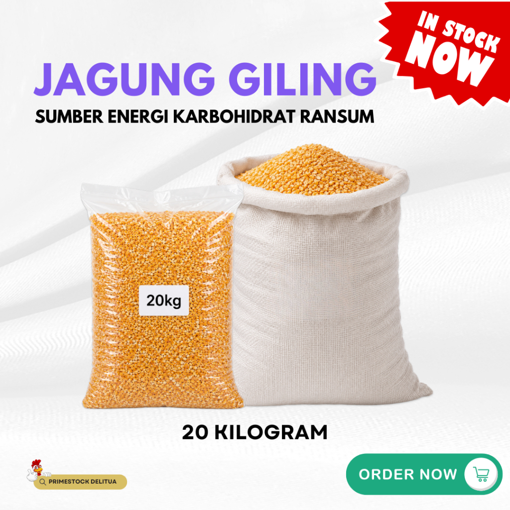 Jual Jagung Karbohidrat Terlengkap & Harga Terbaru Juli 2026 | Shopee ...