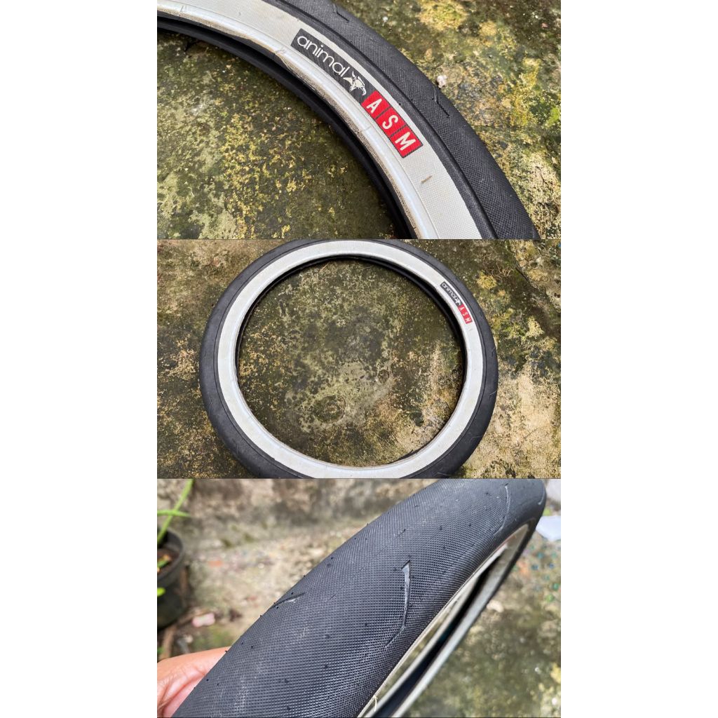 Jual Ban tire bmx Animal ASM 20x2,25 1pcs. | Shopee Indonesia