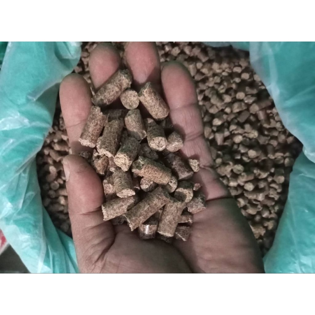 Jual Pelet Wilmar/pelet racing original berat 1kg pakan ternak sapi dan ...