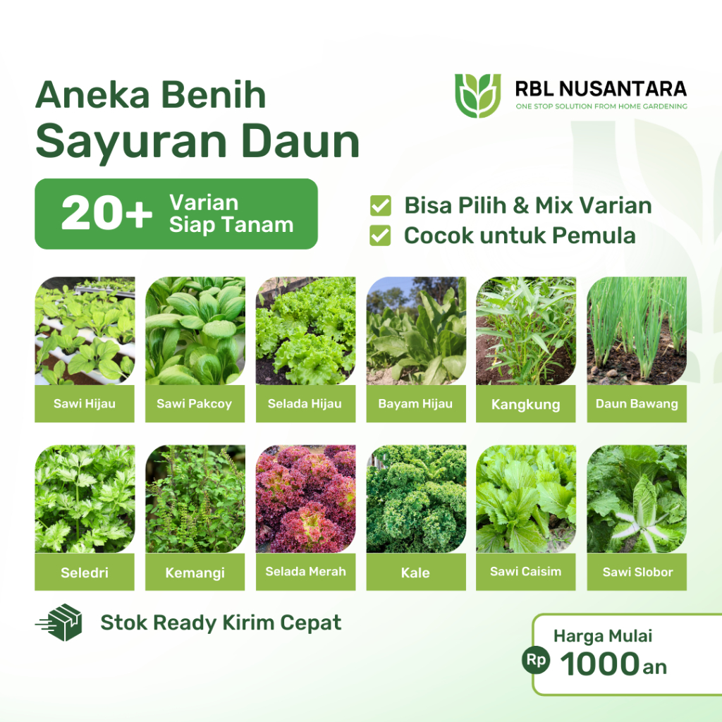 RBLN - Aneka Benih Sayuran Daun Varian Lengkap