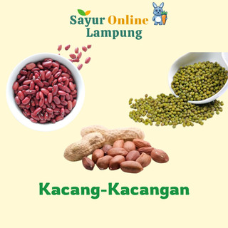 Kacang Tanah / Kacang Ijo /Kacang Merah