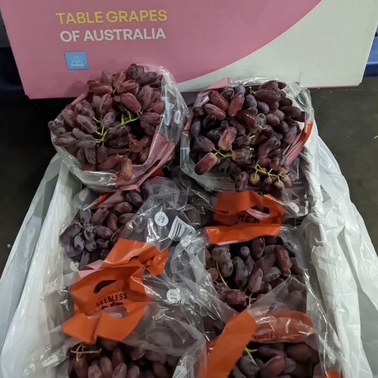 Jual Anggur Long Crimson Fresh pack | Shopee Indonesia