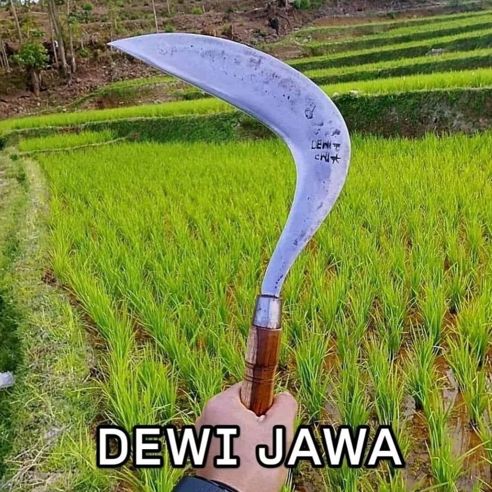 Jual Sabit/Arit Rumput Model Jawa Dewi Bintang Super Tajam Full Baja ...