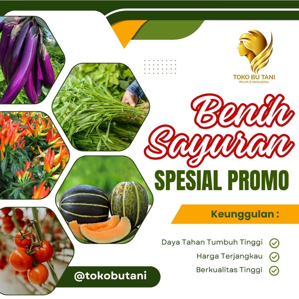 Spesial Promo Benih Sayuran Lengkap Kualitas Unggul Cabe Tomat Terong Sawi Kangkung Cocok untuk Pemula dan Hasil Melimpah