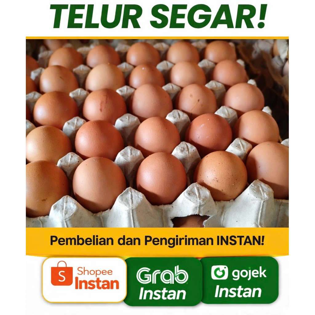 Jual 1 Rak Telur Butir Terlengkap & Harga Terbaru Juli 2026 | Shopee ...