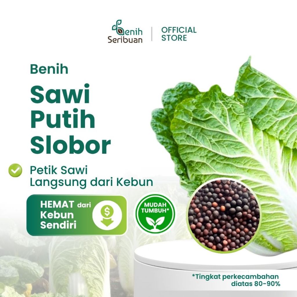 Benih Seribuan - 25 Bibit Sayuran Sawi Putih F1 Hibrida