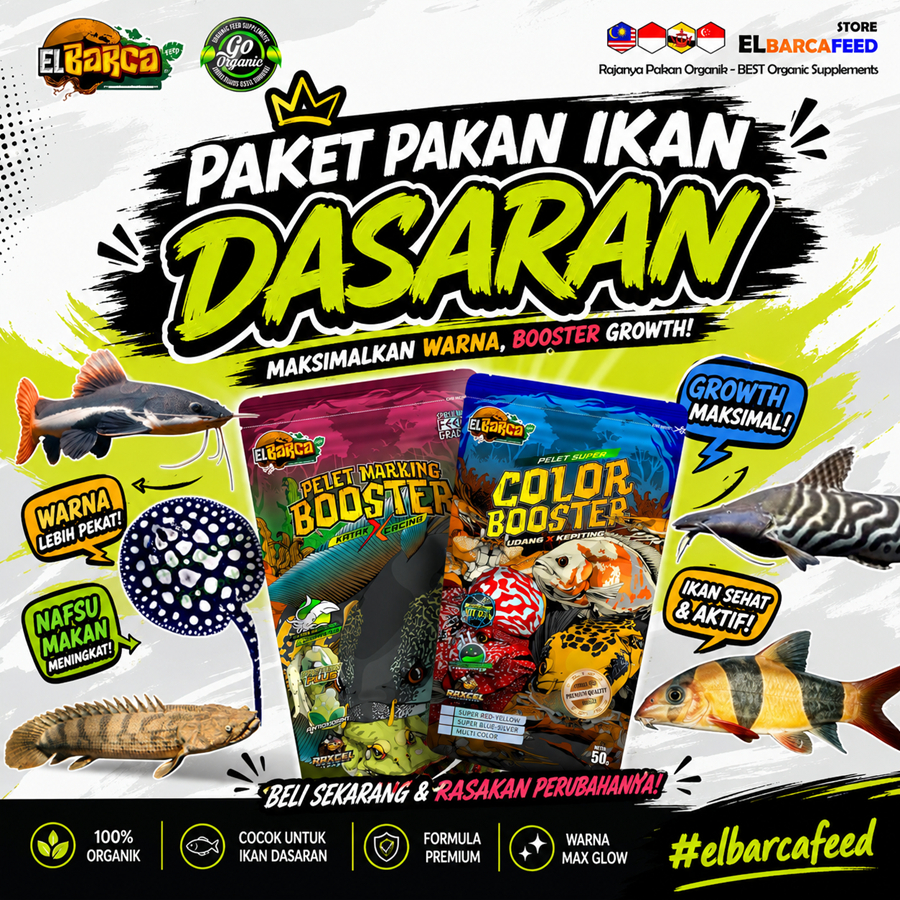 Jual PAKET PAKAN IKAN DASARAN Pakan Organik ikan dasar catfish, pari ...
