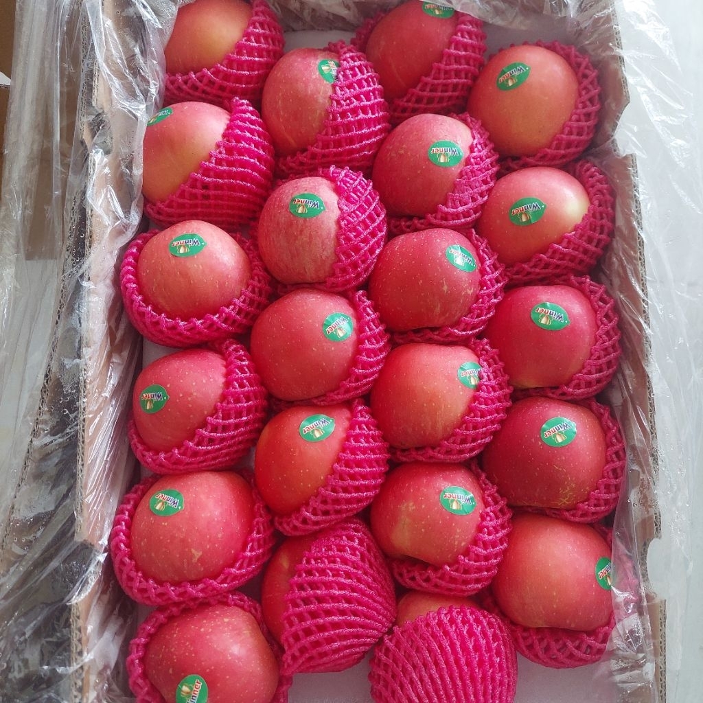 Jual Apel 1 Kg Terlengkap & Harga Terbaru Agustus 2026 | Shopee Indonesia