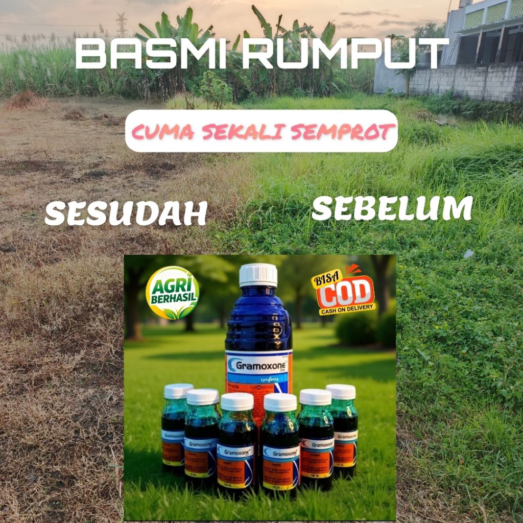Jual Obat Pembasmi Rumput Terlengkap & Harga Terbaru Juli 2026 | Shopee ...