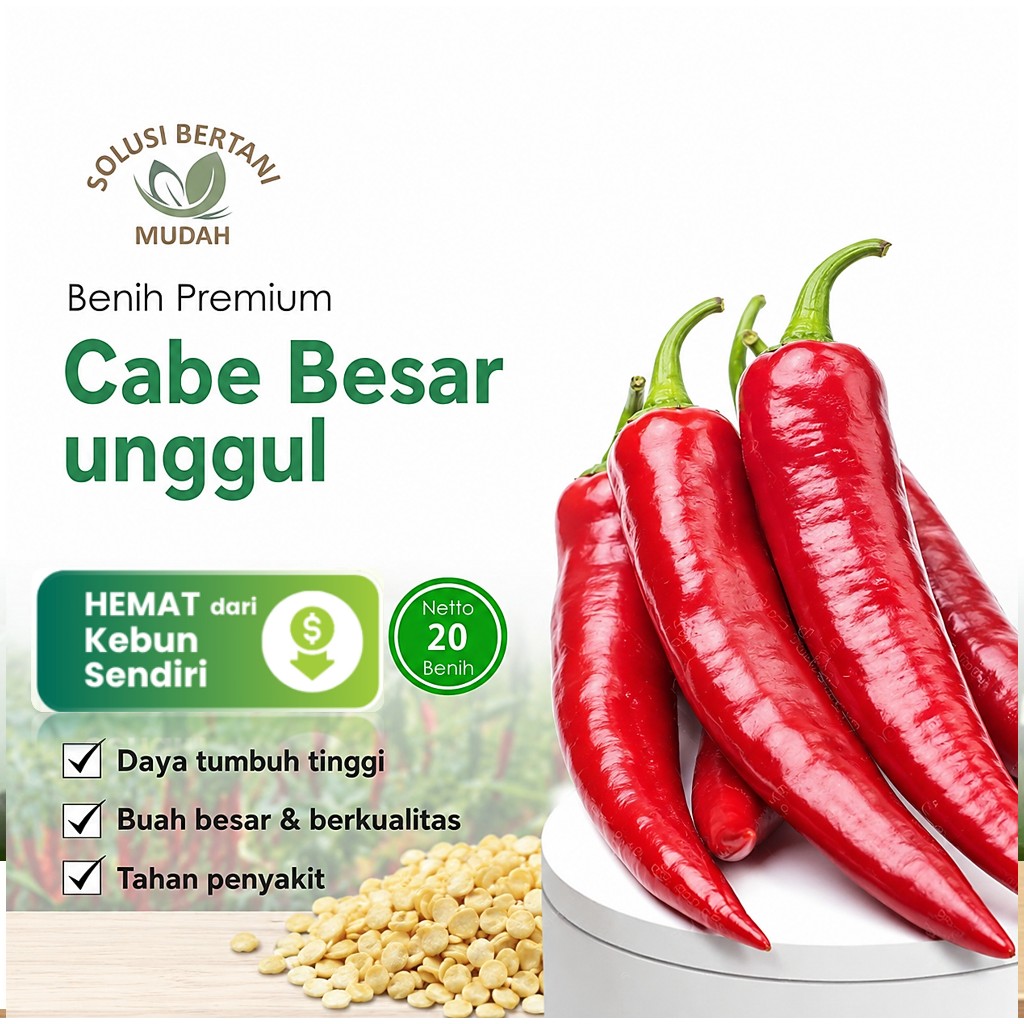 100 Biji - Bibit Benih Sayuran Cabe Merah Besar Unggul