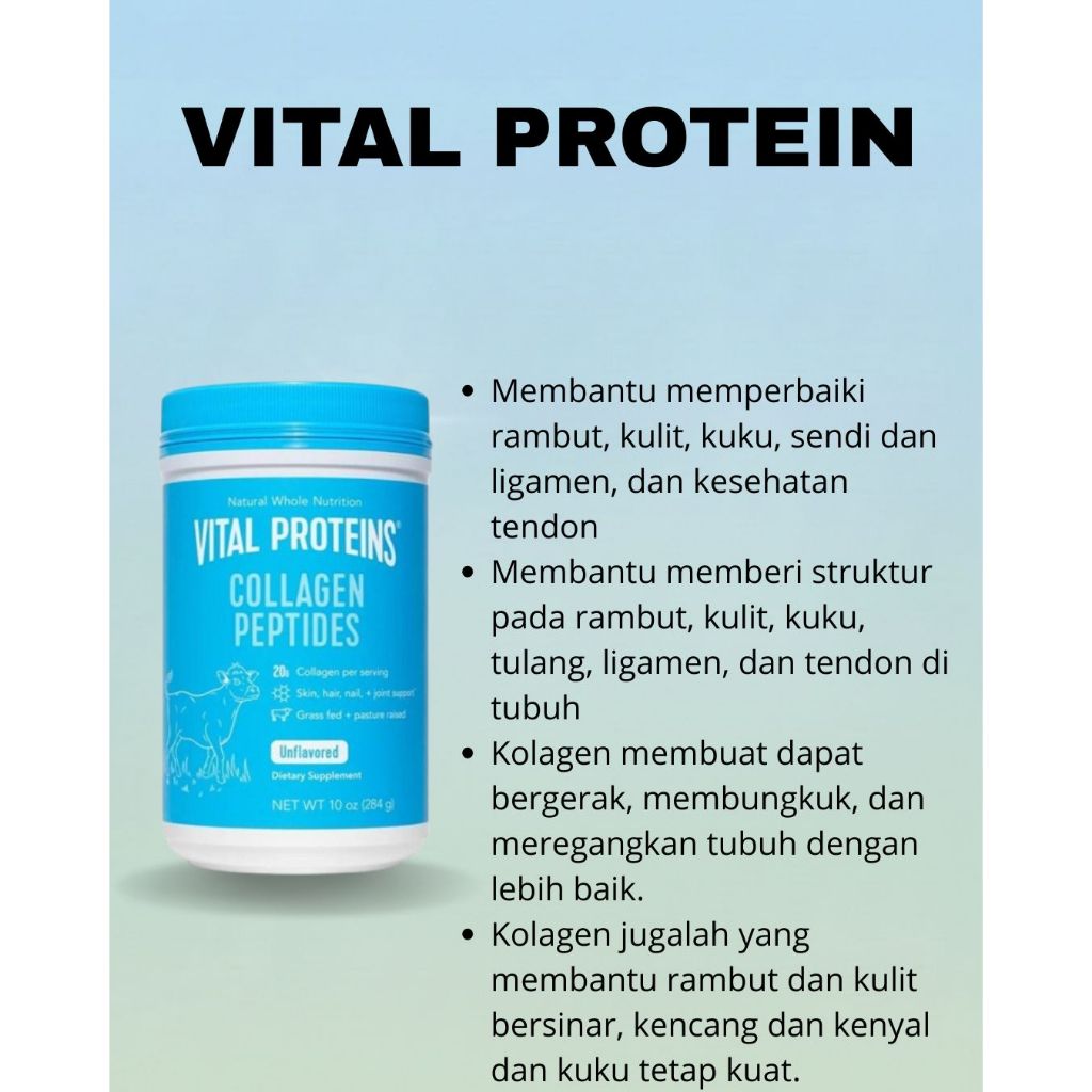 Jual Nestle Vital Proteins Protein Collagen Peptides Peptide Unflavored ...