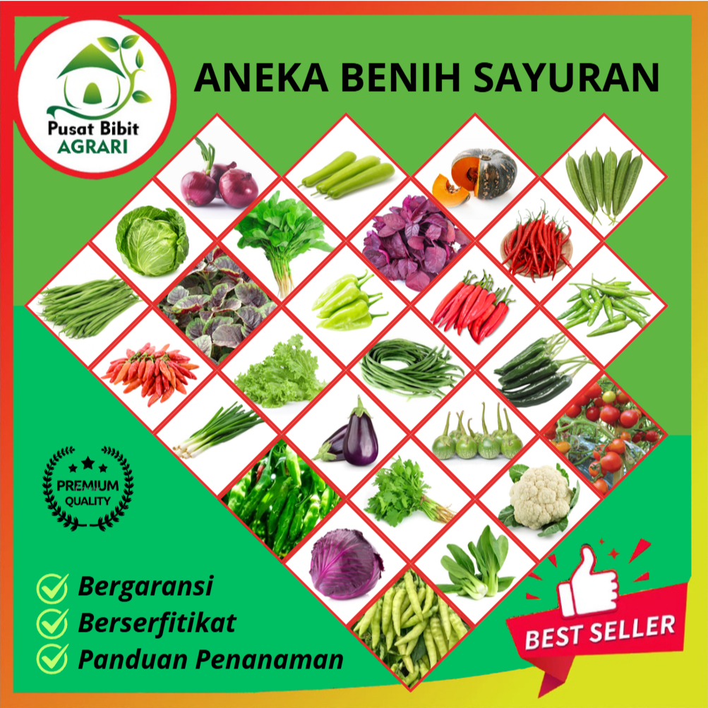 Aneka Benih Sayuran Unggul All Varian Pusat Bibit Agrari