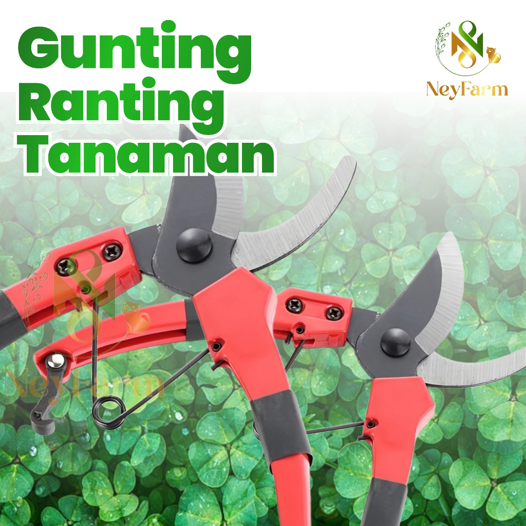 Jual Gunting Tanaman Ranting Dahan Gunting Pruning | Shopee Indonesia