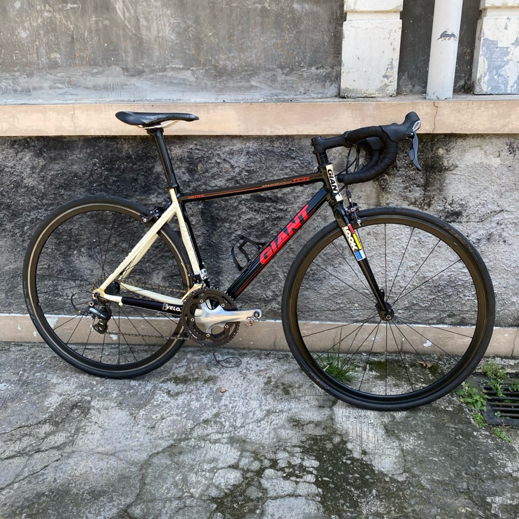 Jual Sepeda Roadbike Giant TCR Limited | Shopee Indonesia