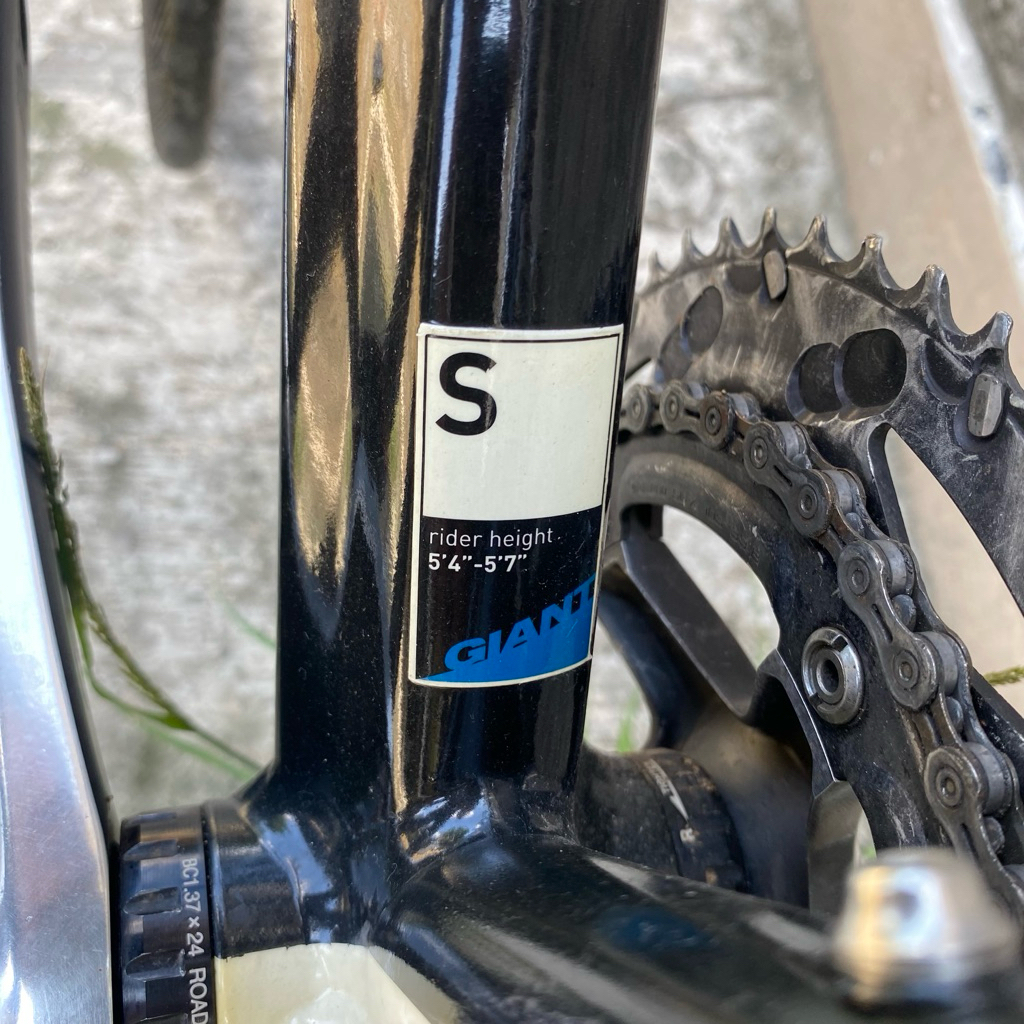 Jual Sepeda Roadbike Giant TCR Limited | Shopee Indonesia