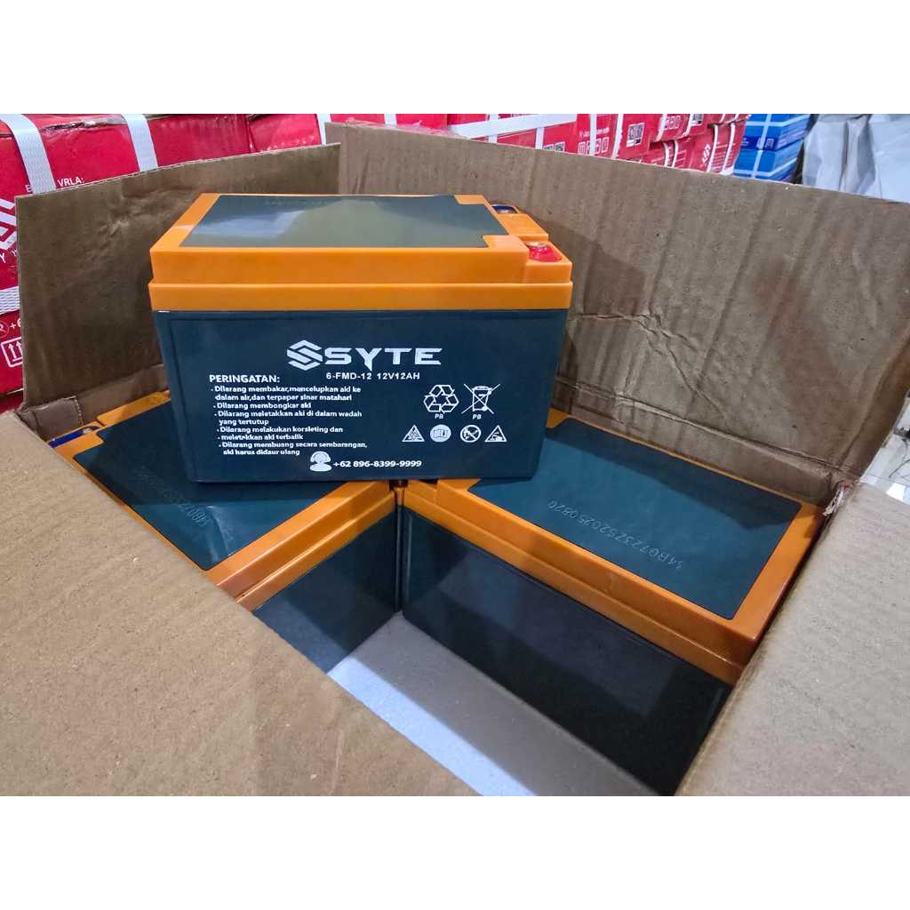 Aki sepeda listrik original PACIFIC SYTE 6 Dzf 12 Number 1 12Ah  Terbaru MARET 2026