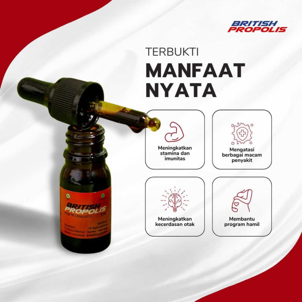 Jual BRITISH PROPOLIS REGULER MERAH DEWASA ORIGINAL BERGARANSI | Shopee ...