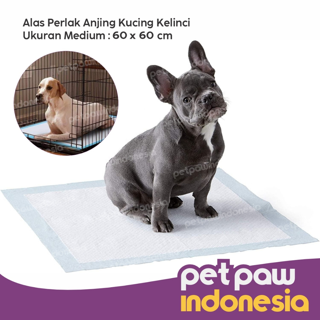 Jual Alas Pipis Pee Poop Perlak Anjing Kucing Underpad Pet Toilet ...