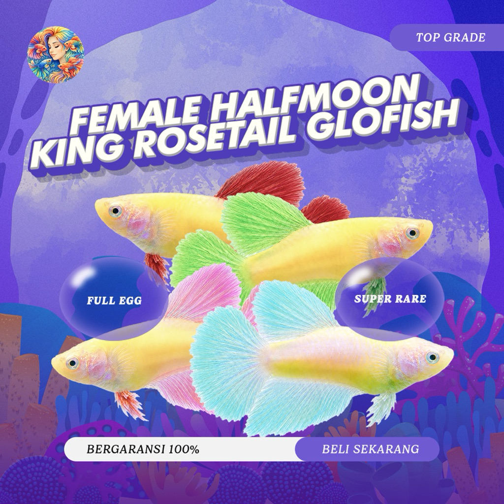 Jual Glofish Terlengkap & Harga Terbaru Juli 2026 | Shopee Indonesia