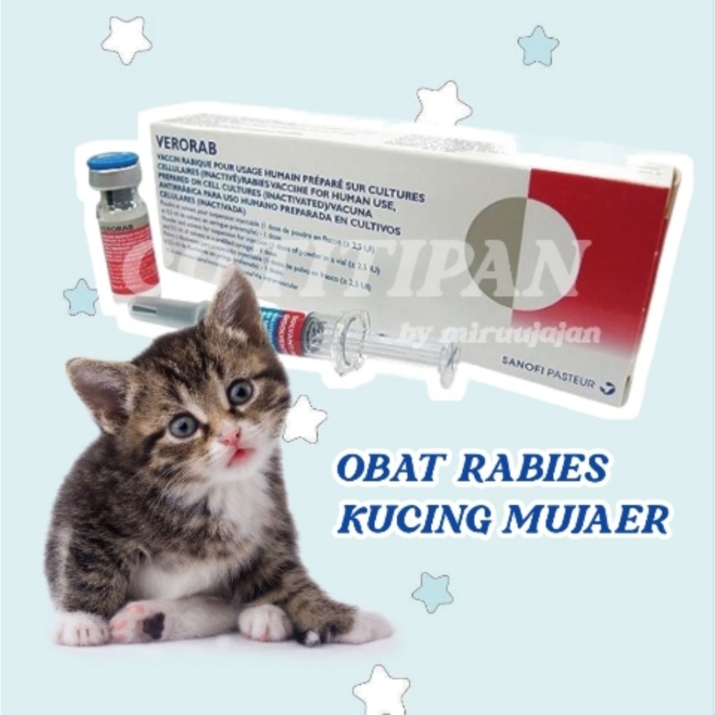 Jual Obat Rabies Kucing CK - Baca Deskripsi [By MiruuJajan] | Shopee ...